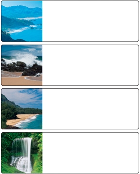Paradise Waters Address Labels