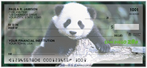 Pandas Checks