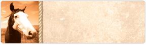 Horse Country Address Labels