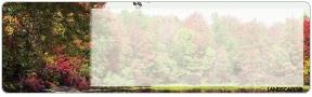 Landscapes Address Labels
