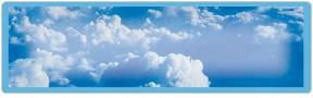 Natural Treasures Address Labels