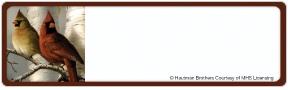 Hautman Songbirds Address Labels