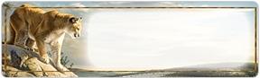 American Wildlife Address Labels