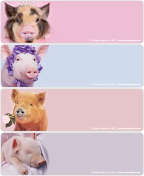 rachaelhale® Pigs Address Labels