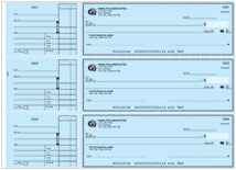 Blue Safety General Purpose Checks