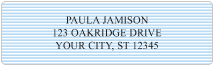 Blue Safety Address Labels