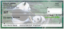 Pandas Checks