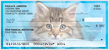 rachaelhale® Kittens Checks