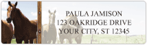 Wild West Address Labels Thumbnail