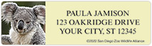 San Diego Zoo Koala Address Labels Thumbnail