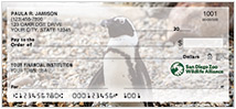 San Diego Zoo Penguin Checks Thumbnail