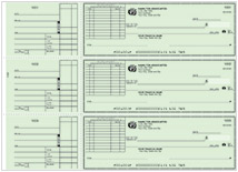 Green Safety Long Voucher Checks