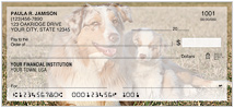 Australian Shepherd Checks