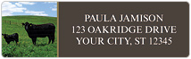 Black Angus Cows Address Labels Thumbnail
